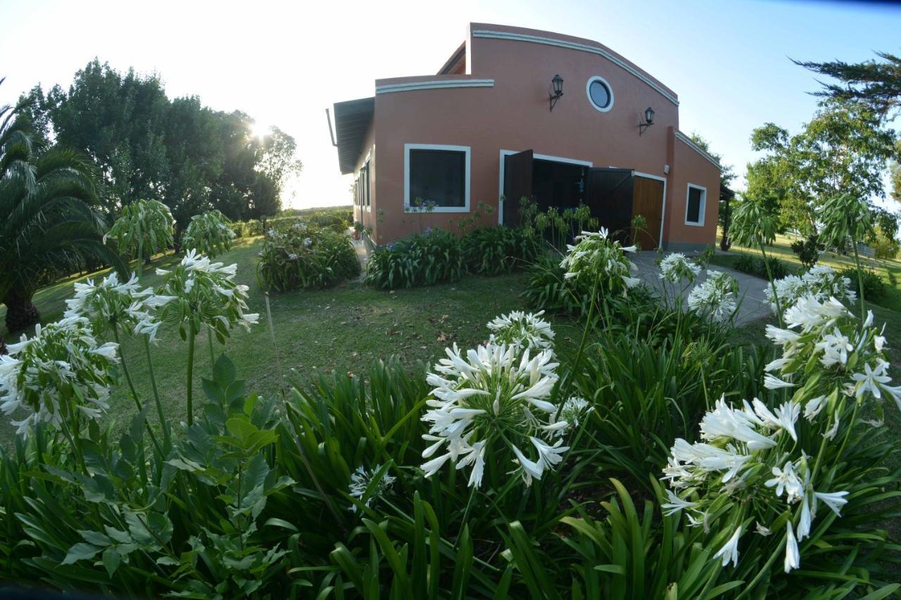 La Monturera, Loft De Campo Apartment Колония дел Сакременто Екстериор снимка